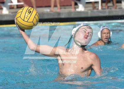 Thumbnail 2 in Poly @ Esperanza photogallery.