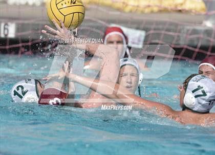 Thumbnail 2 in Poly @ Esperanza photogallery.