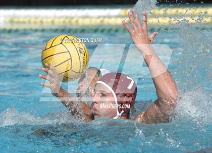 Thumbnail 2 in Poly @ Esperanza photogallery.