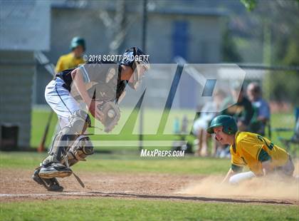 Thumbnail 3 in Valley Center vs. Bishop Manogue (Lions Tournament) photogallery.