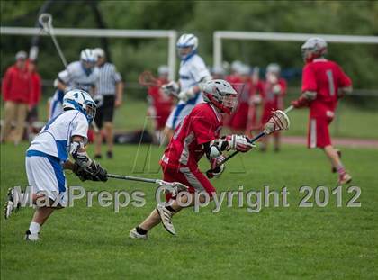 Thumbnail 1 in St. Bernard @ Old Saybrook photogallery.