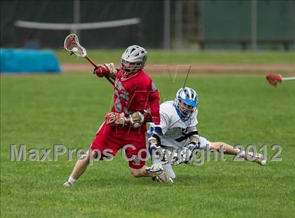 Thumbnail 1 in St. Bernard @ Old Saybrook photogallery.