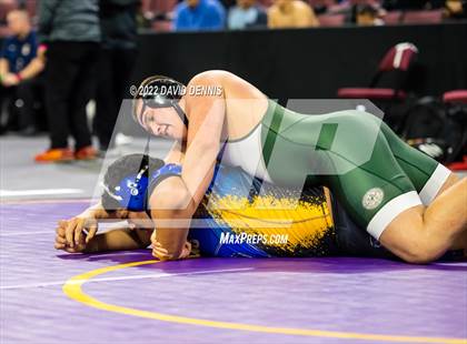 Thumbnail 2 in CIF State Boys Wrestling Championships (Second Round) photogallery.
