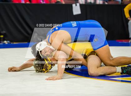 Thumbnail 1 in CIF State Boys Wrestling Championships (Second Round) photogallery.