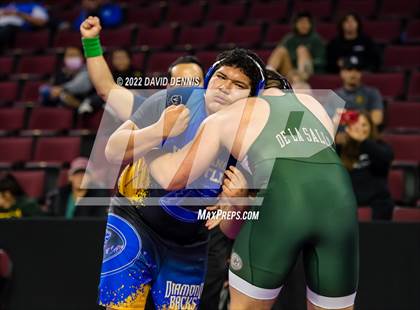 Thumbnail 2 in CIF State Boys Wrestling Championships (Second Round) photogallery.