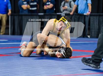 Thumbnail 2 in CIF State Boys Wrestling Championships (Second Round) photogallery.