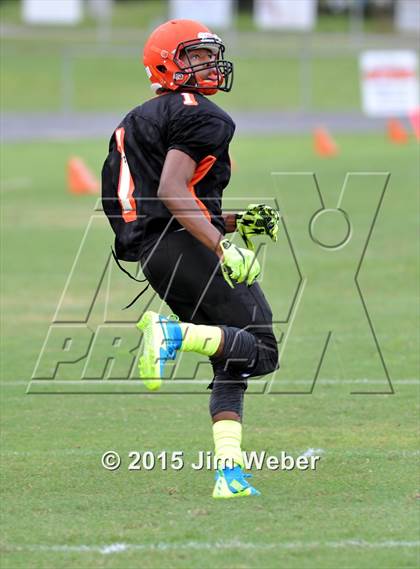 Thumbnail 2 in Wesley Chapel @ Zephyrhills photogallery.