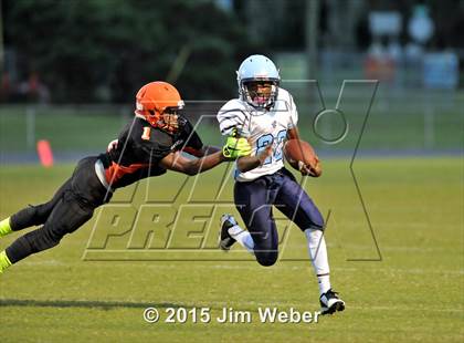 Thumbnail 1 in Wesley Chapel @ Zephyrhills photogallery.