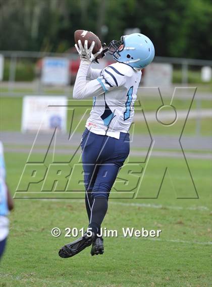 Thumbnail 3 in Wesley Chapel @ Zephyrhills photogallery.