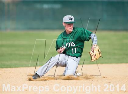 Thumbnail 1 in William Floyd @ Longwood photogallery.