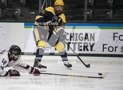 Thumbnail 1 in East Grand Rapids @ Okemos photogallery.
