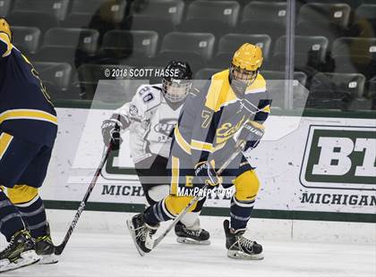 Thumbnail 2 in East Grand Rapids @ Okemos photogallery.