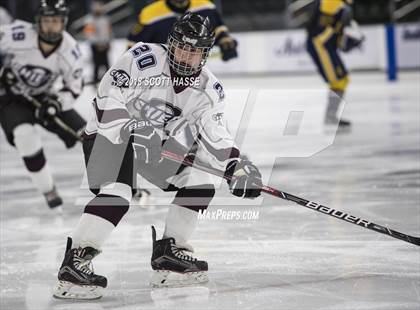 Thumbnail 2 in East Grand Rapids @ Okemos photogallery.