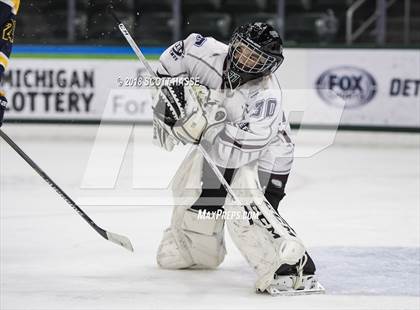 Thumbnail 3 in East Grand Rapids @ Okemos photogallery.