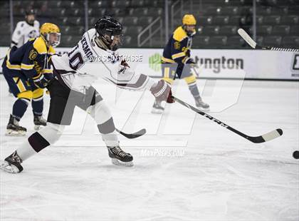 Thumbnail 1 in East Grand Rapids @ Okemos photogallery.