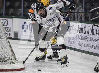 Thumbnail 3 in East Grand Rapids @ Okemos photogallery.