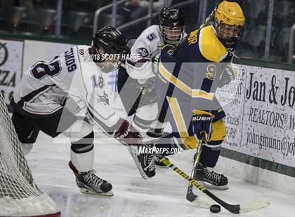 Thumbnail 2 in East Grand Rapids @ Okemos photogallery.