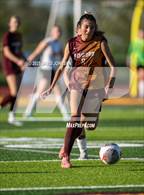Photo from the gallery "Coronado @ Windsor (CHSAA 4A Round 2)"