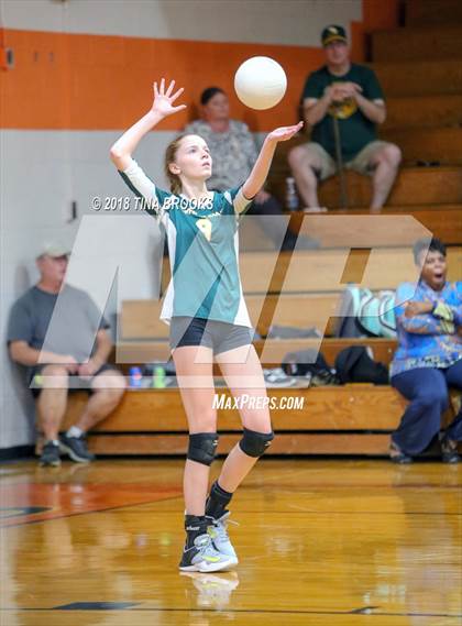 Thumbnail 2 in White Oak @ Southwest photogallery.