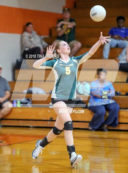 Thumbnail 2 in White Oak @ Southwest photogallery.