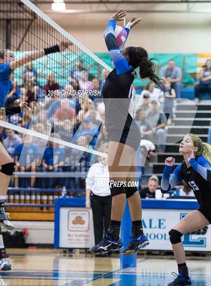 Thumbnail 3 in Rains vs. Henderson photogallery.