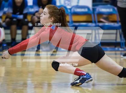 Thumbnail 1 in Rains vs. Henderson photogallery.