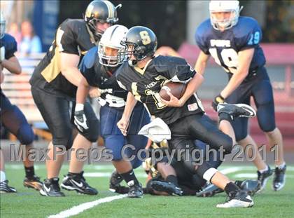 Thumbnail 3 in Sprayberry @ Pope photogallery.