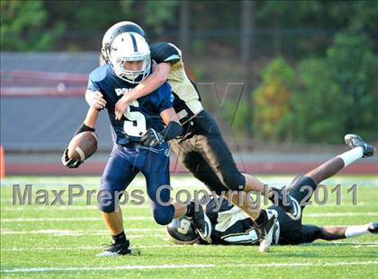 Thumbnail 1 in Sprayberry @ Pope photogallery.