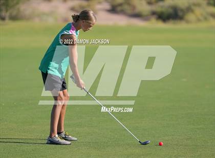 Thumbnail 2 in NIAA 3A Southern League Zone Tournament (Boulder Creek) photogallery.