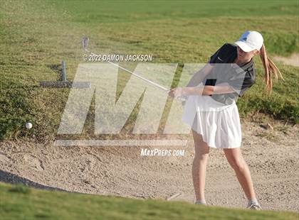 Thumbnail 3 in NIAA 3A Southern League Zone Tournament (Boulder Creek) photogallery.