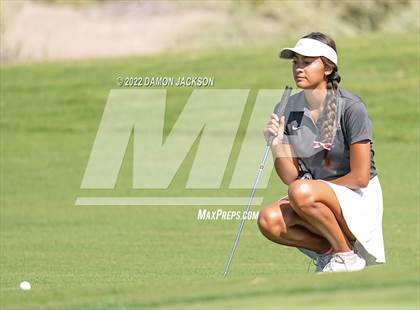 Thumbnail 3 in NIAA 3A Southern League Zone Tournament (Boulder Creek) photogallery.
