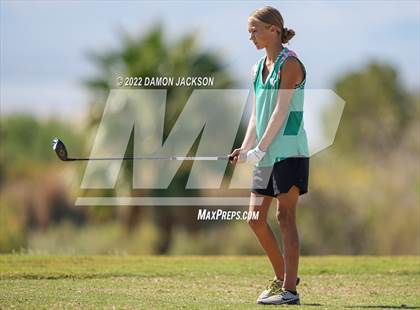 Thumbnail 1 in NIAA 3A Southern League Zone Tournament (Boulder Creek) photogallery.