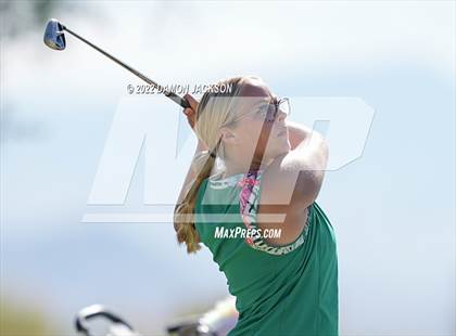 Thumbnail 1 in NIAA 3A Southern League Zone Tournament (Boulder Creek) photogallery.