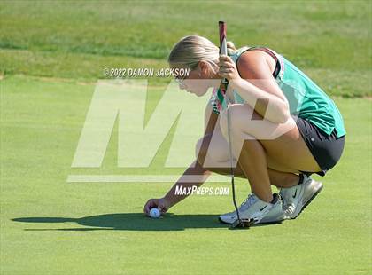 Thumbnail 1 in NIAA 3A Southern League Zone Tournament (Boulder Creek) photogallery.