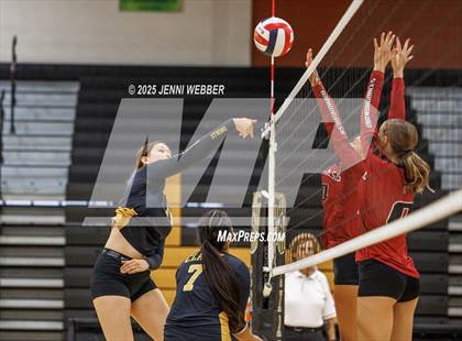 Thumbnail 2 in JV: Desert Oasis @ Clark photogallery.