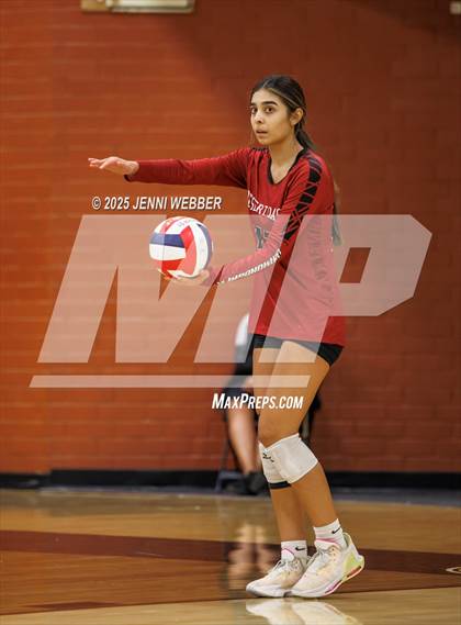 Thumbnail 1 in JV: Desert Oasis @ Clark photogallery.