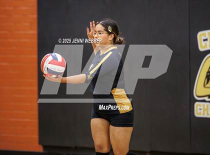 Thumbnail 2 in JV: Desert Oasis @ Clark photogallery.