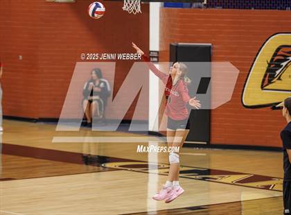 Thumbnail 3 in JV: Desert Oasis @ Clark photogallery.