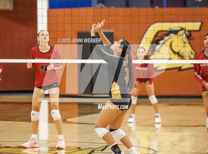 Thumbnail 3 in JV: Desert Oasis @ Clark photogallery.