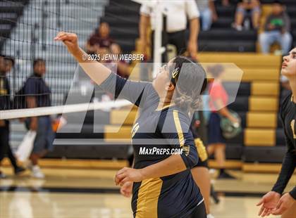 Thumbnail 2 in JV: Desert Oasis @ Clark photogallery.