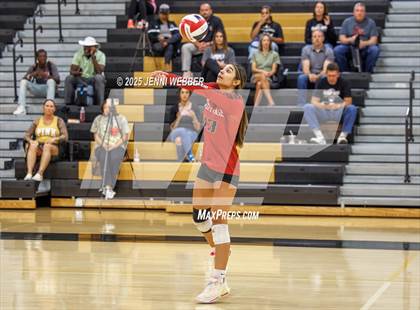 Thumbnail 1 in JV: Desert Oasis @ Clark photogallery.