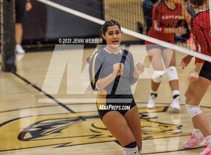 Thumbnail 1 in JV: Desert Oasis @ Clark photogallery.