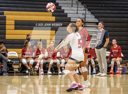 Thumbnail 1 in JV: Desert Oasis @ Clark photogallery.