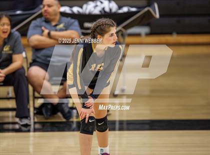 Thumbnail 3 in JV: Desert Oasis @ Clark photogallery.