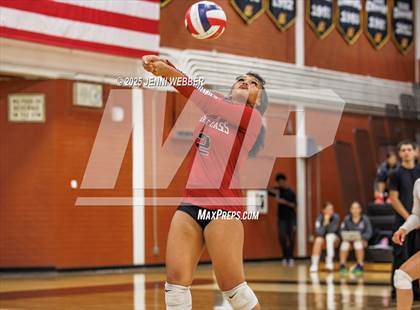 Thumbnail 2 in JV: Desert Oasis @ Clark photogallery.