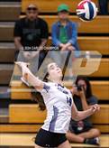 Photo from the gallery "Socorro @ Franklin"