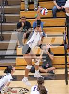 Photo from the gallery "Socorro @ Franklin"