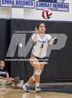 Photo from the gallery "Socorro @ Franklin"