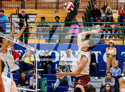 Thumbnail 2 in Cherokee Trail vs Thornton (CHSAA 5A Round 1) photogallery.