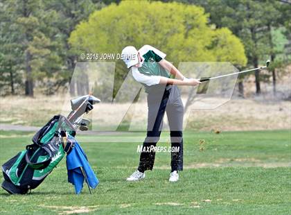Thumbnail 1 in Los Alamos Golf Invitational photogallery.